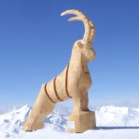 Sculpture Monumentale // 2010
3,5m x 2,5m x 0,90m
Visible au sommet de la station des Menuire, en Savoie.
Bois et inox Le Bouquetin