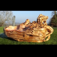 souche d' If // Collection oisiveté // 2015 // 1.70cm x 0.80cm mobiler exterieur, banc sculpté en bois