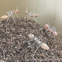 Installation
// 2018 // composé de 15 à 20 fourmis (35cm*30cm*30ccm/ inox ou aluminium, cèdre ou douglas) , copeaux en tas, bande son et video-mapping
Coproduction Centre d'art "Les 3 Cha" Installation // 2018 // composé de 15 à 20 fourmis (35cm*30cm*30ccm/ inox ou aluminium, cèdre ou douglas) , copeaux en tas, bande son et video-mapping Coproduction Centre d'art "Les 3 Cha"