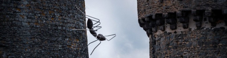 Installation centre d'art les 3cha //donjon Châteaugiron //2018 // fourmi 2m*2m30 // co-production 3CHA INsect ' INside