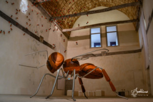 Installation exposition INsect'INside // centre d'art les 3Cha// red cedar, inox // // 2018 //
2.40m x 2m x H 1.4m INsect ' INside
