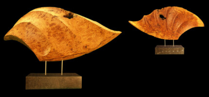 Loupe de châtaignier, calcaire, inox // 75cm x 120cm x 25cm // 2012 // Collection Attrait dévoilé Attrait dévoilé