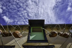 Installation jardin de Broceliande //
2020 // fourmi 2m*2m30 // co-production 3CHA INsect ' INside