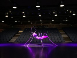 Installation au Zefir // 2019 // fourmi 2m*2m30 // coproduction 3Cha Sculpture monumentale d' une fourmi r. INsect ' INside