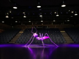 Installation au Zefir // 2019 // fourmi 2m*2m30 // coproduction 3Cha Sculpture monumentale d' une fourmi r. INsect ' INside