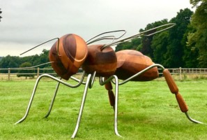 red cedar, inox // // 2019 //
2.40m x 2m x H 1.4m INsect ' INside