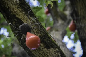 Installation // exposition au jardin de Brocéliande (35) // 2020
Toile 7mx7m et 100 araignées // Nylon, acier et plastique recyclé // coproduction 3CHA // crédit photo Apolline Poulain Installation // exposition au jardin de Brocéliande (35) // 2020 Toile 7mx7m et 100 araignées // Nylon, acier et plastique recyclé // coproduction 3CHA // crédit photo Apolline Poulain