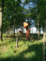 Collection INsect'IN'side // 2022
3m*3.6m*2.5m // Red cedar et inox Collection INsect'IN'side // 2022 3m*3.6m*2.5m // Red cedar et inox