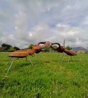 Sculpture Collection INsect'IN'side // 2023
1.5m*1m*0.90m // Red cedar et inox Sculpture Collection INsect'IN'side // 2023 1.5m*1m*0.90m // Red cedar et inox