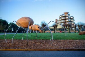 Épeire diadème
Sculpture Collection INsect'IN'side // 2025 1.70m * 3 m* 3 m // Cèdre et inox // Exposition Château des pères Épeire diadème Sculpture Collection INsect'IN'side // 2025 1.70m * 3 m* 3 m // Cèdre et inox // Exposition Château des pères