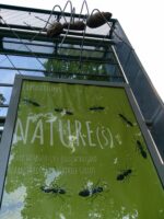 Installation exposition INsect'INside Marc Georgeault / Argentan Installation exposition INsect'INside Marc Georgeault / Argentan