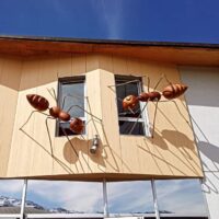 Installation exposition INsect'INside Marc Georgeault / Crolles 73 Installation exposition INsect'INside Marc Georgeault / Crolles 73