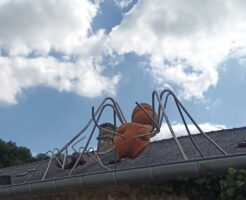 Installation exposition INsect'INside Marc Georgeault /Dinan Installation exposition INsect'INside Marc Georgeault /Dinan