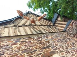 Installation exposition INsect'INside Marc Georgeault / Installation exposition INsect'INside Marc Georgeault /