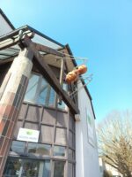 Installation exposition INsect'INside Marc Georgeault / Installation exposition INsect'INside Marc Georgeault /